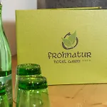 Hotel Frohnatur