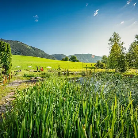 Hotel Frohnatur 4*